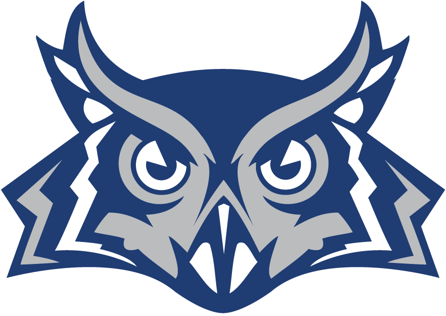 Rice Owls 2010-Pres Alternate Logo iron on transfers for fabric